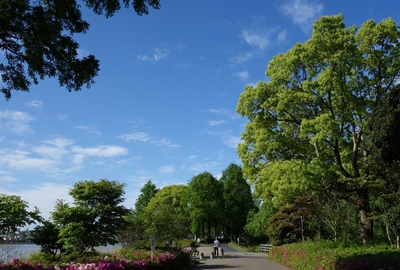 佐鳴湖公園散策