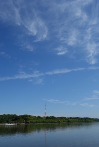 佐鳴湖公園散策