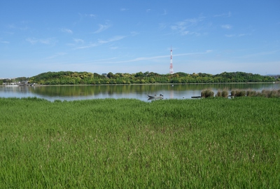 佐鳴湖公園散策