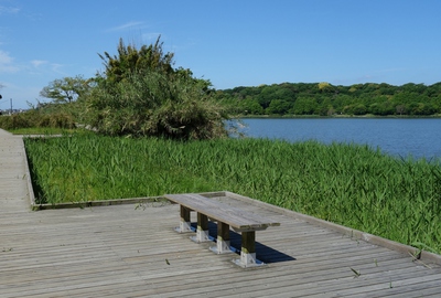 佐鳴湖公園散策