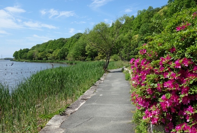 佐鳴湖公園散策