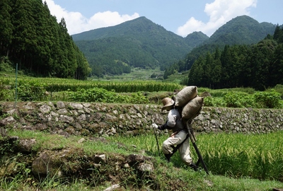 四谷の千枚棚田