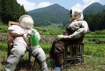 四谷の千枚棚田