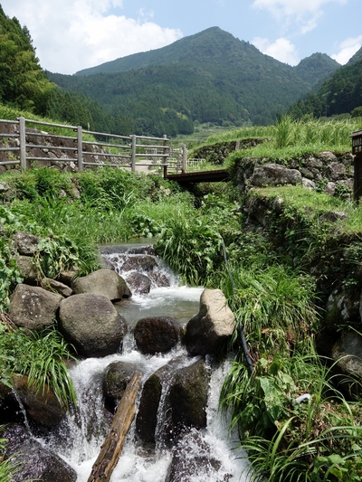 四谷の千枚棚田