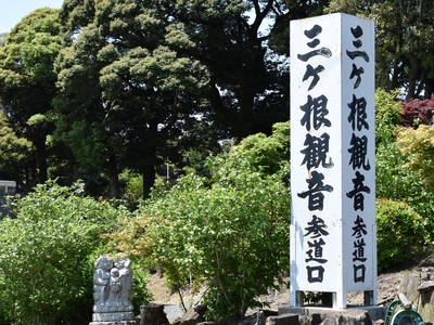 三ケ根山スカイライン