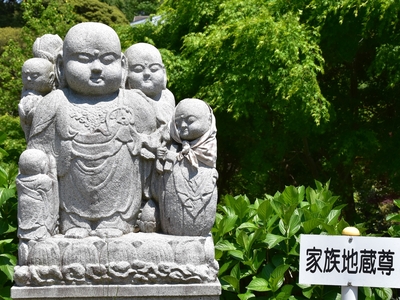 三ケ根山スカイライン