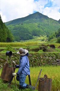 四谷棚田の守り人