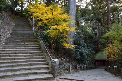 2024紅葉リベンジ『油山寺』