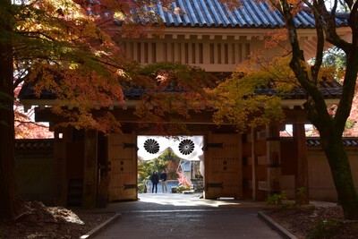 2024紅葉リベンジ『油山寺』