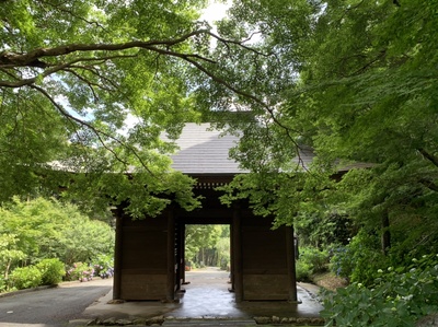 あじさいの『普門寺』