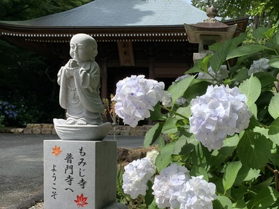 あじさいの『普門寺』