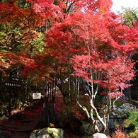 岩屋堂「前編」