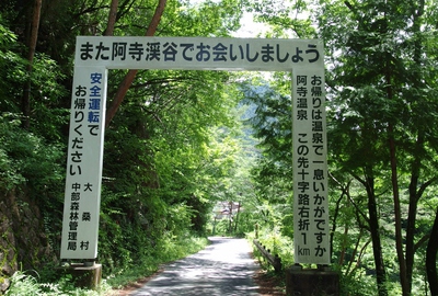 エメラルドグリーン