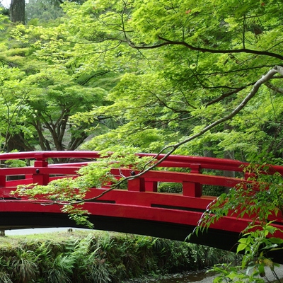 新緑の小国神社　