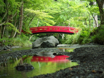 新緑の小国神社　