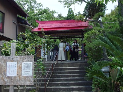 極楽寺あじさい寺
