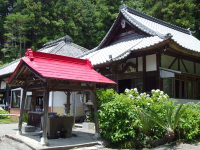極楽寺あじさい寺