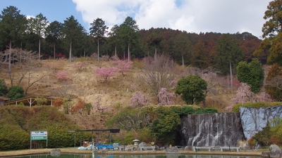 奥山高原「梅」