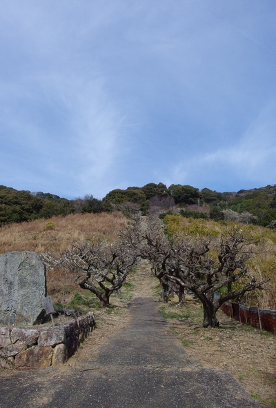 長楽寺の庭園