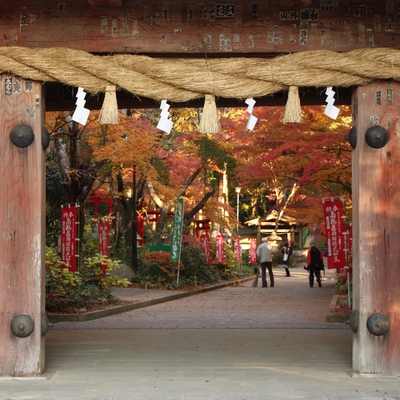 見頃の油山寺