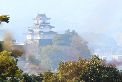龍尾神社「枝垂れ梅」