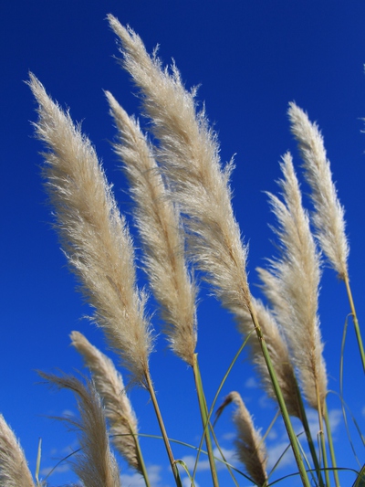 素晴らしき青空！