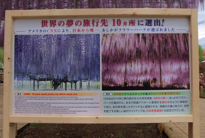 あしかがフラワーパーク