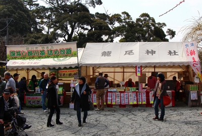 龍尾神社「枝垂れ梅」