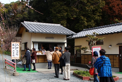 龍尾神社「枝垂れ梅」
