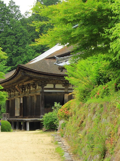 湖南三山≪善水寺≫