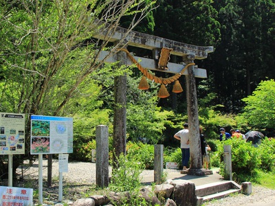 名もなき池≪モネの池≫