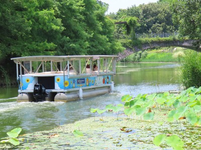炎天下のガーデンパーク