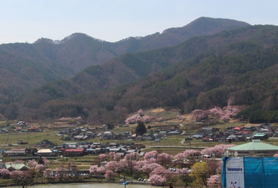 高遠城址公園　桜16’