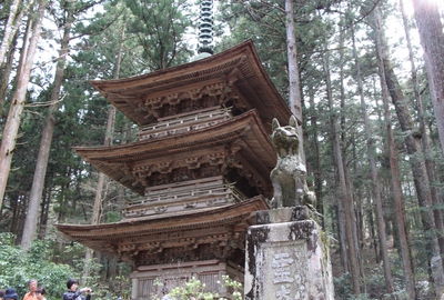 光前寺　桜16’