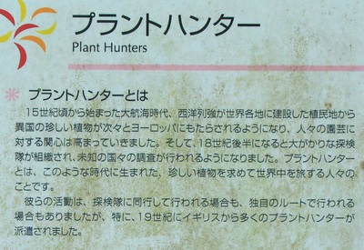 プラントハンター