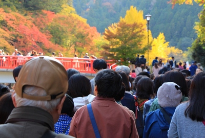 紅葉19≪香嵐渓≫