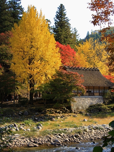 紅葉19≪香嵐渓≫