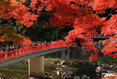 紅葉19≪香嵐渓≫