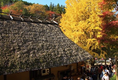 紅葉19≪香嵐渓≫