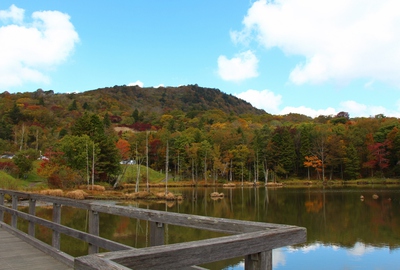 スキー場の紅葉