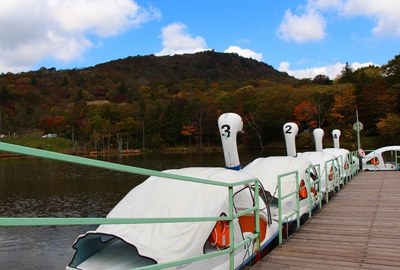 スキー場の紅葉