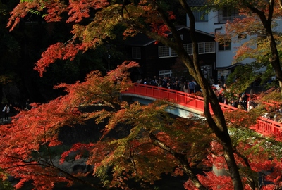 紅葉19≪香嵐渓≫
