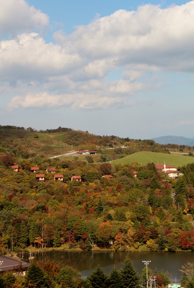 スキー場の紅葉