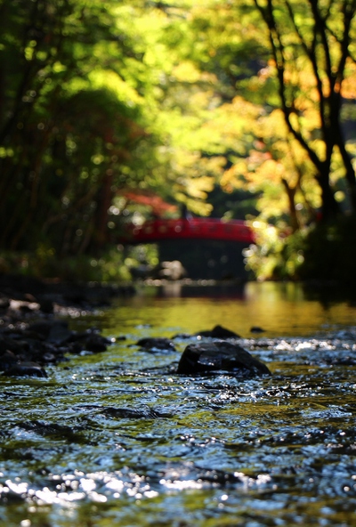 真っ赤な太鼓橋