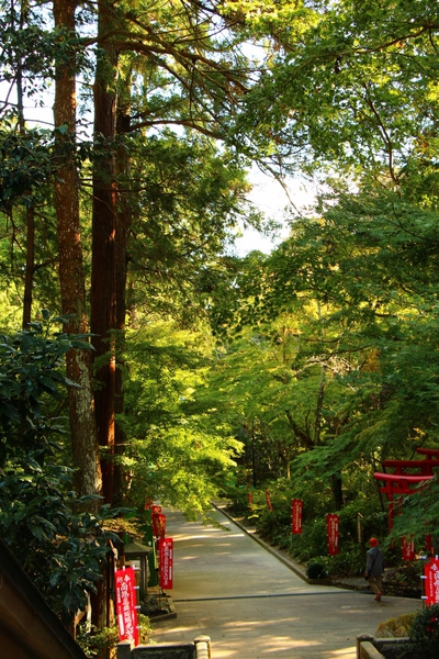 緑一色の境内