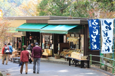鳳来山紅葉