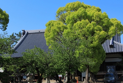 岡崎御朱印巡り