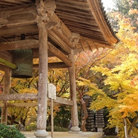 大洞院の紅葉