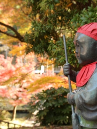 大洞院の紅葉
