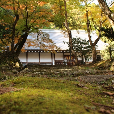 大洞院の紅葉